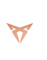 Cupra Oro